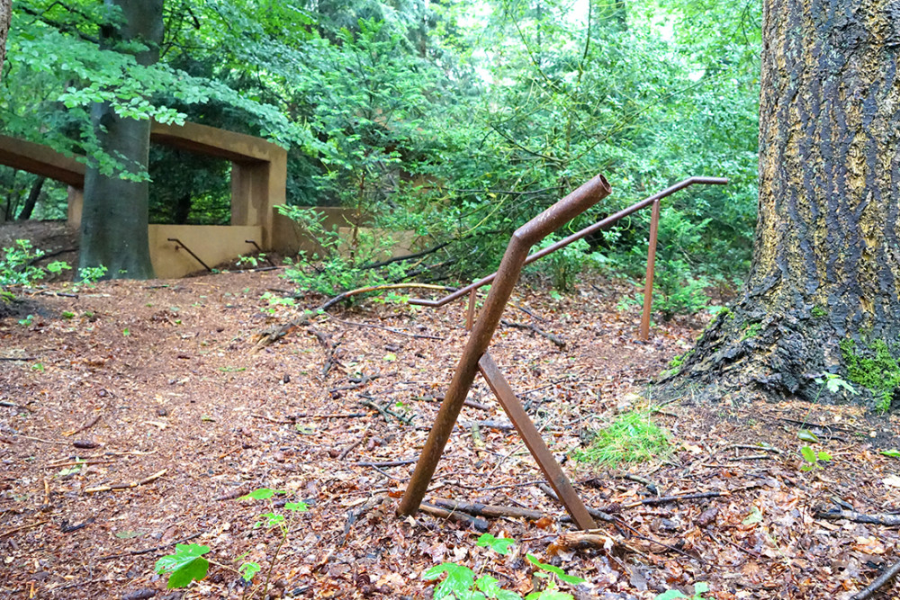 Kevin Bauer